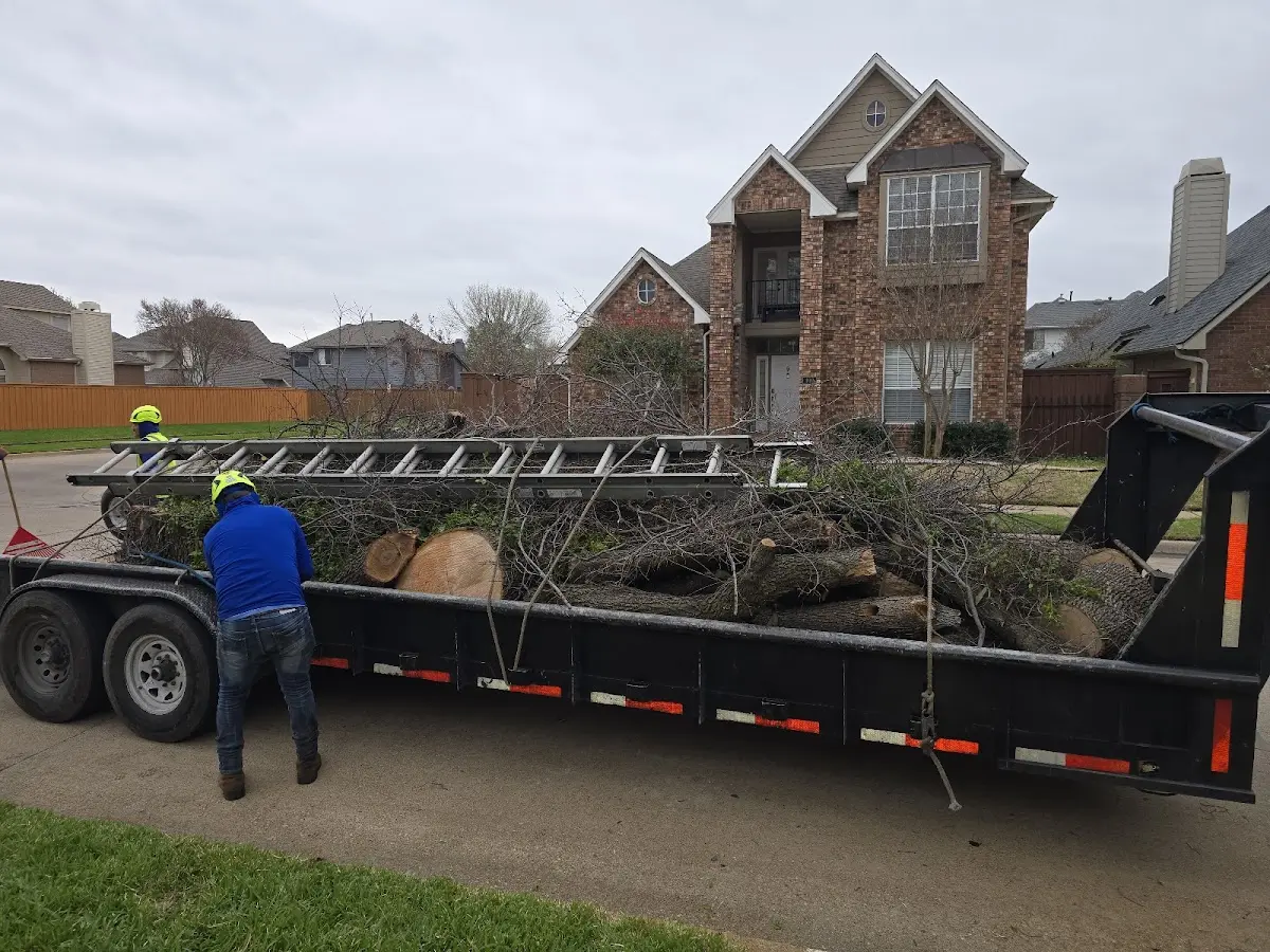 Expert Tree Fertilization with proper safety equipment in Gaylesville